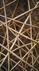 Poster - Interwoven Bamboo Sticks Abstract Pattern