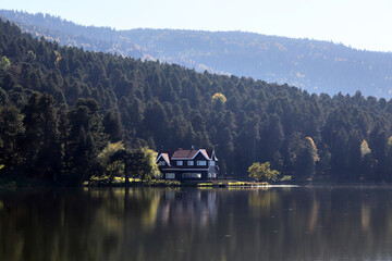 Poster - Villa by the lake. Golcuk - Bolu, Turkey