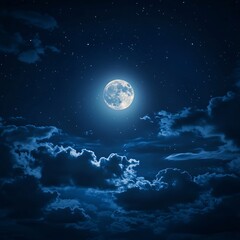 Wall Mural - moonlit sea