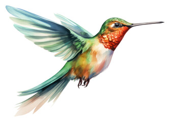 Poster - PNG Hummingbird animal beak creativity.