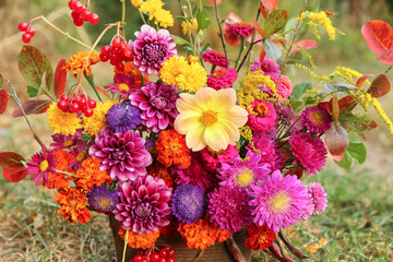 Wall Mural - Autumn flowers close-up background texture. Beautiful fall pink yellow orange red purple bouquet with dahlia, aster, marigold flower and colorful leaves