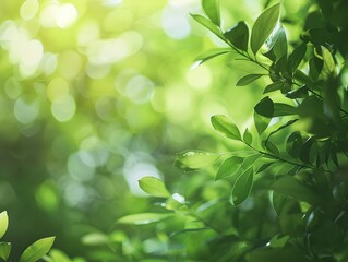 Poster - Serene Natural Backdrop with Soft Focus Foliage for Eco Friendly Product Mockups