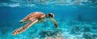 © ParinApril - Underwater scene with a sea turtle swimming in clear blue waters, emphasizing the beauty of marine life and the peacefulness of the ocean