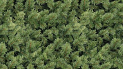 A dense array of green pine tree branches creates a natural and elegant texture, ideal for Christmas or New Year décor and high-quality wallpaper SEAMLESS PATTERN