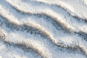 A field of dry grass lying in the frost with sparkling snow and frost as a natural winter background.