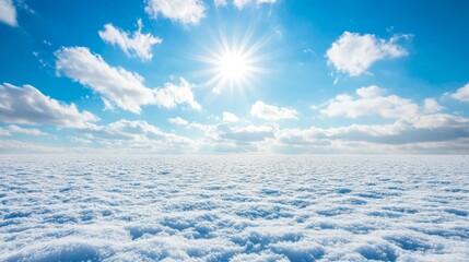 An icy light blue sky dominates the background of this bright snowy winter landscape