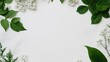 © Business Image - Spring floral frame with green leaves and white blooms for creative design