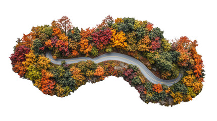 road through autumn forest transparent background