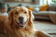 © photobuay - Cheerful Golden Retriever Relaxing in a Cozy Living Room Setting