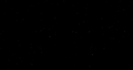 Wall Mural - Natural Organic Dust Particles Floating On Black Background. Dynamic Dust Particles Randomly Float In Space. Shimmering Glittering Dust Particles With Bokeh. Slow motion on Black Background.