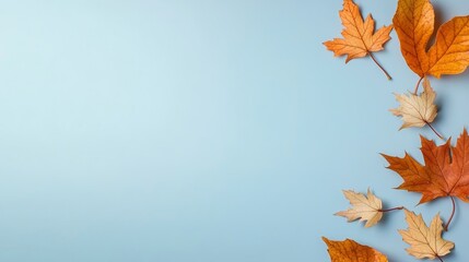 Wall Mural - A frame of multicolored maple leaves on a blue background, symbolizing autumn, nature, beauty, tranquility, and change.