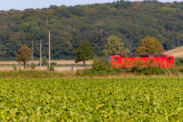 Red electric locomotive driving in the countryside between trees