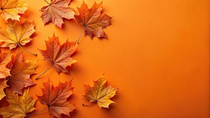 Wall Mural - Autumn maple leaf background flat lay