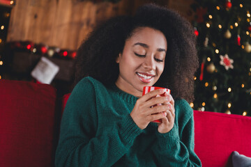 Canvas Print - Photo of pretty young woman sit sofa hold hot chocolate wear sweater christmas festive time apartment indoors