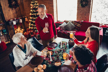 Poster - Photo of four peaceful family members drink champagne juice say toast celebrate christmas apartment indoors