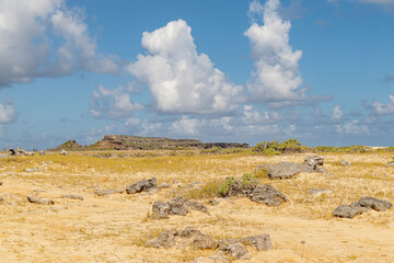 Bonaire, treasure of the Carribean