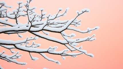 Canvas Print - Frost-covered tree branches glisten under a pastel pink and orange dawn sky creating a tranquil November scene 