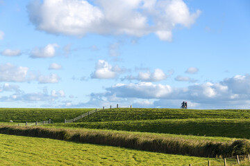 two people cycling on a sunny day over a green dike with blue sky and white clouds on a 