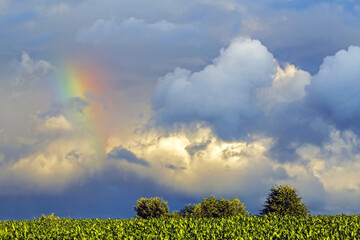 Very bright rainbow over the fields. Agricultural landscape in eastern Lithuania.