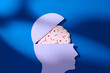 © Marc Tran/Stocksy - A paper cutout of a human head with a brain inside