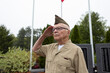 © Raymond Forbes LLC/Stocksy - Senior Citizen proud military man at war memorial rear view