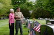 © Raymond Forbes LLC/Stocksy - Senior military Veteran wife salutes at veteran cemetery landscape