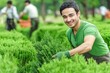 © zakiroff - Smiling gardener harvesting fresh herbs, outdoor teamwork in gardening, vibrant greenery lifestyle, employment in horticulture sector concept
