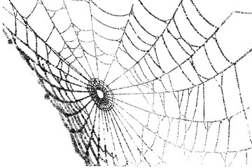 spider web holloween element dot stripple art. texture interior background line art. set of graphics