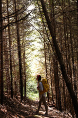 Canvas Print - Young hiker with backpack enjoying time in forest