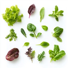 Wall Mural - Fresh green leaves arranged beautifully on a white background. A variety of lettuces and greens create a vibrant display. Perfect for health, cooking, or recipe ideas. AI