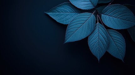 Wall Mural - leafy green plant with a dark background. the leaves are large and the background is dark