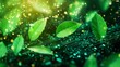 © Oulailux - A modern green technology concept with circuits and leaves intertwined,