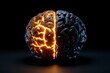 © Thanyarat - Realistic depiction of a brain split into two hemispheres, one side glowing brightly and the other in darkness, symbolizing the dualism of reason and emotion