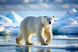 Polar bear walking across a snowy arctic landscape.