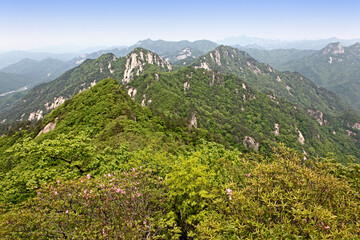 Wall Mural - Early spring green view of Joryeongsan Mt near Goesan-gun, Korea