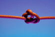 © Jeff Wasserman/Stocksy - Single Knokt - Stress Tied in a Knot on Blue