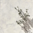 © Tino - beige stucco texture with olive branch shadow