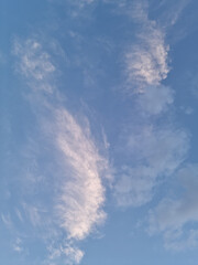 Wall Mural - 
A sunset sky with feathery clouds.