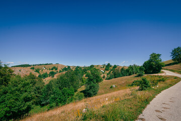 Road with houses and cottages on durmitor plateau in montenegro or crna gora, lovely houses and green fields on a plain in northern part of montenegro on a summer day.