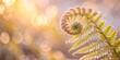 © Triple P - A delicate fern frond unfurls in the warm embrace of a golden sunrise, revealing a vibrant green spiral amidst a soft, bokeh-filled background.