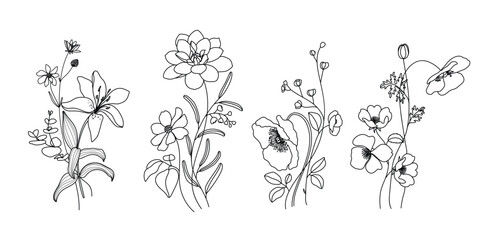 minimal line flower and botanical graphic sketch drawing, trendy tiny tattoo design, floral elements vector illustration