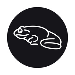 Wall Mural - Tailless frog black line illustration. Animals of Australia.