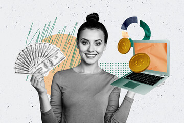 Wall Mural - Composite trend artwork sketch collage of workspace young lady businesswoman work laptop hold banknote money rich success trader stats