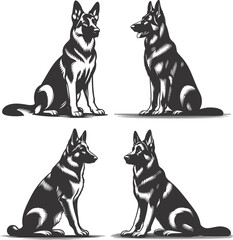 German shepherd dog in different poses on a white background objects silhouette illustration.