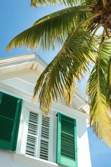 tropical vacation home with palm tree