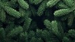 © Waqas - Colorful background with green fir tree branches from top view for New Year celebration concept