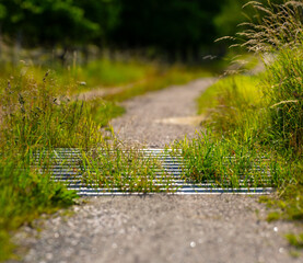 Wall Mural - Cattle grid on a gravel road.