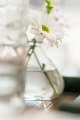 Wall Mural - White flowers in a vase at a restaurant.