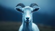 © Mandeep - Close-up portrait of a curious white goat with striking horns