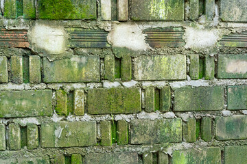 Old textured brick wall with rough surface and green color